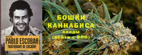 apvp Аркадак