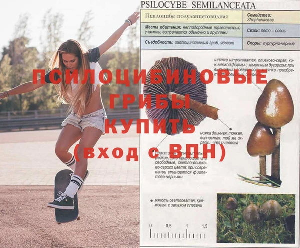 apvp Аркадак